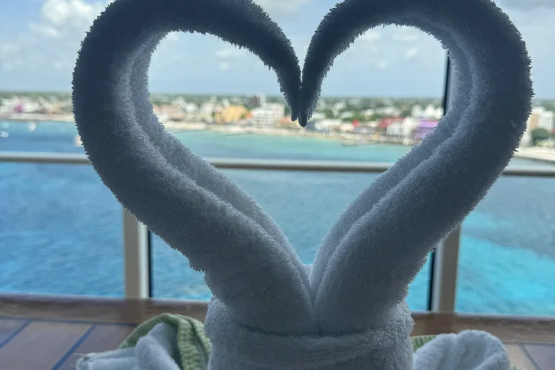 Towel animal with heart shaped ears in front of the cabin window